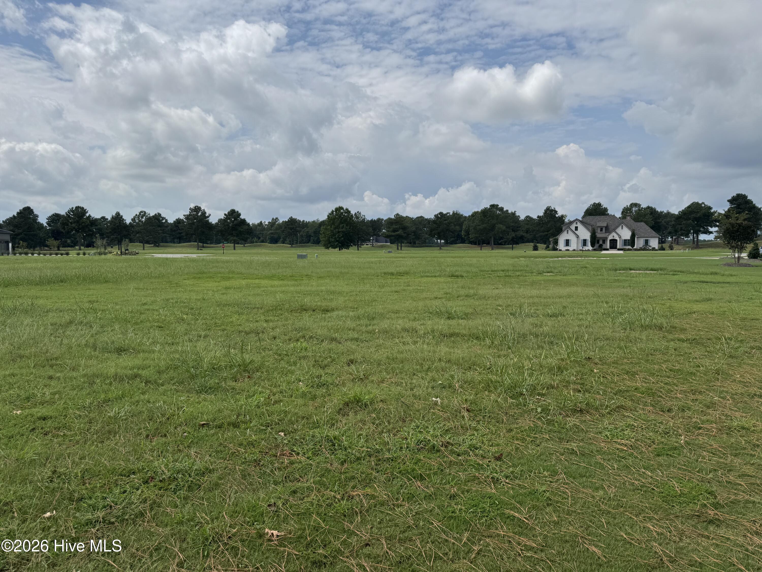 9 Chickadee Loop Snow Hill, NC 28580 - Photo 12 of 22 View of Lot #9 from the back of the lot.