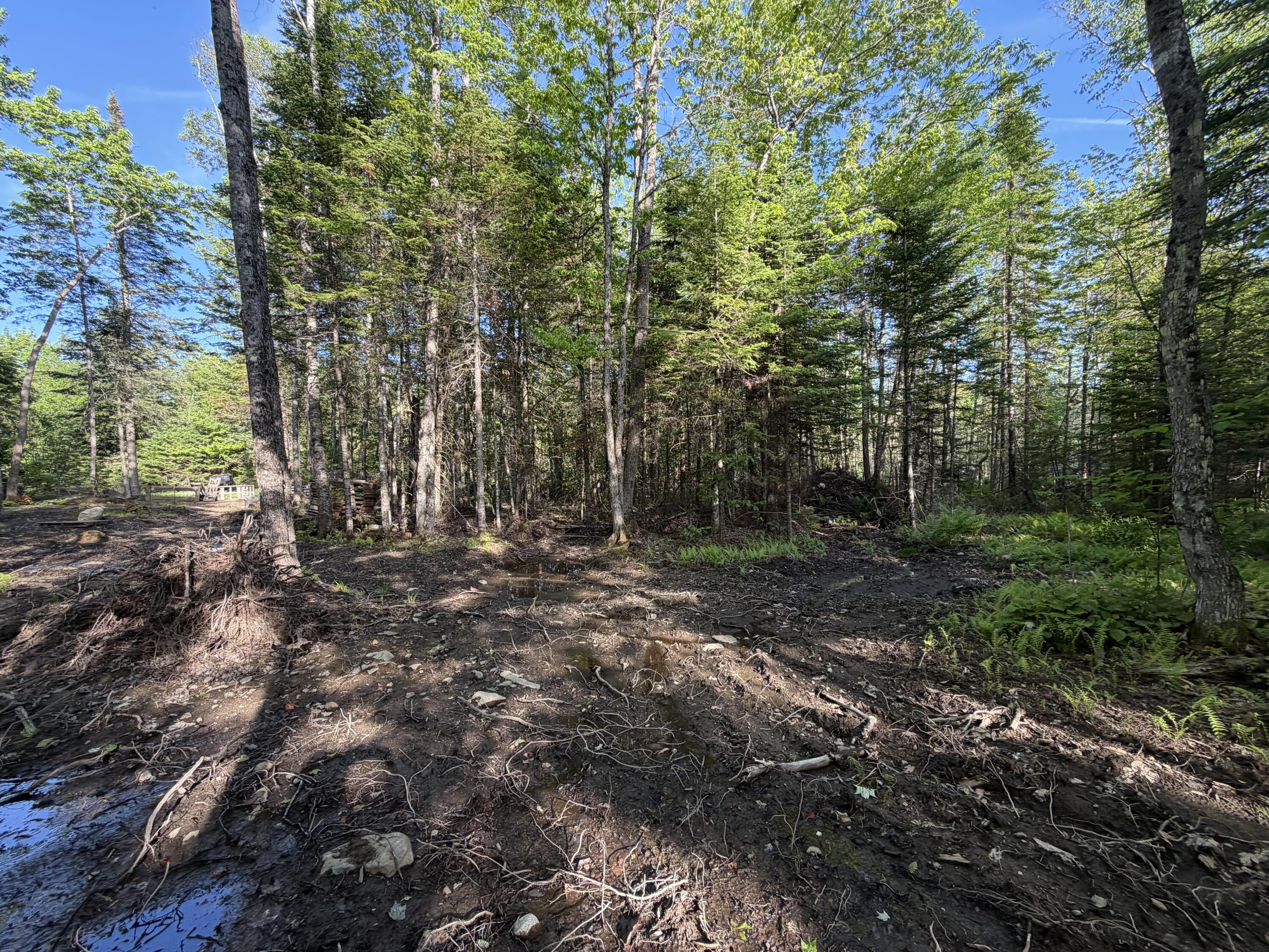Lot 12-001 Off North Guilford Road Monson, ME 04464 - Photo 27 of 48