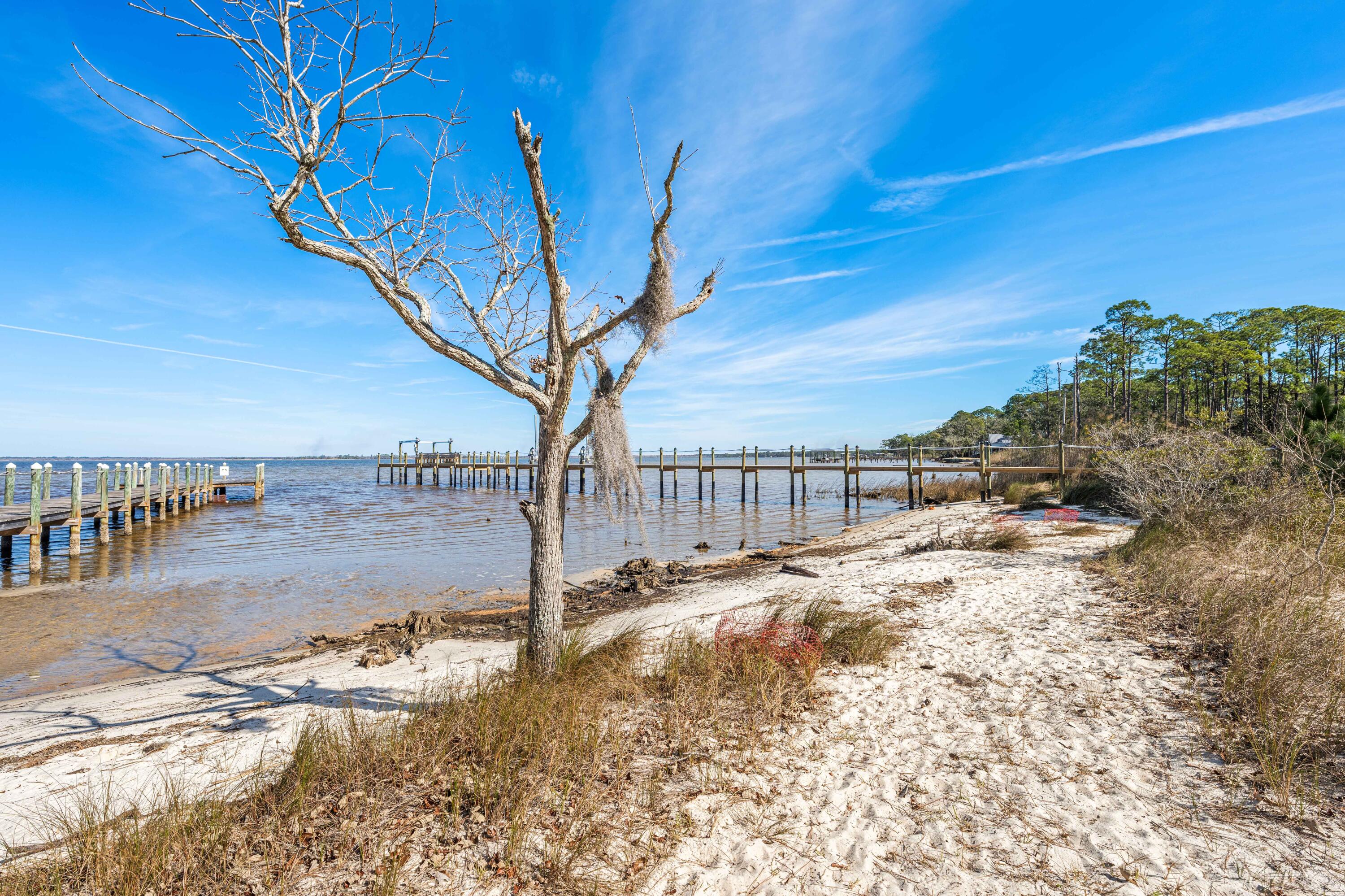 611 Amelia Lane Santa Rosa Beach, FL 32459 - Photo 50 of 59 a view of a backyard of the house