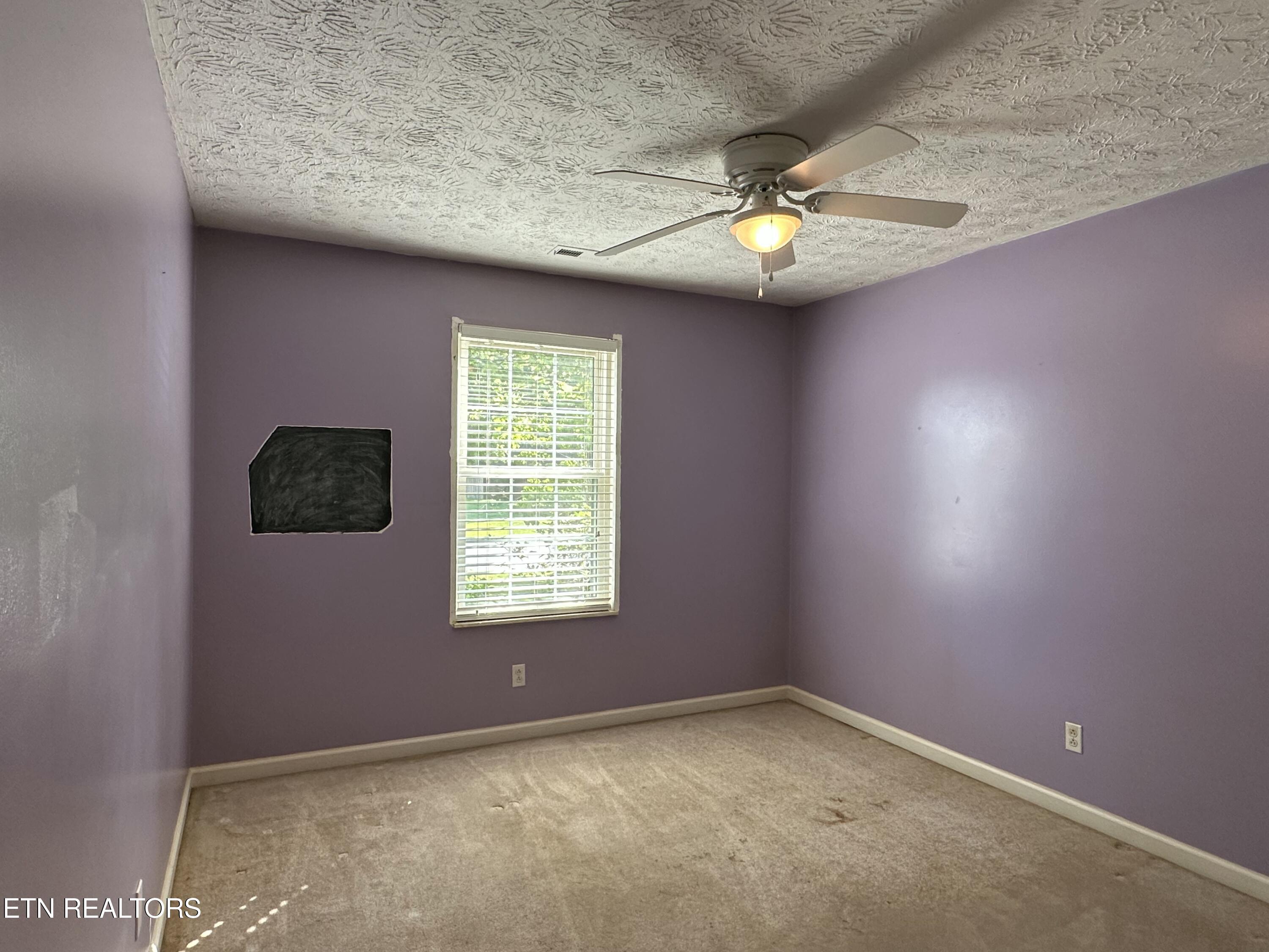 7021 Pisa Circle Corryton, TN 37721 - Photo 20 of 32 Bedroom 01