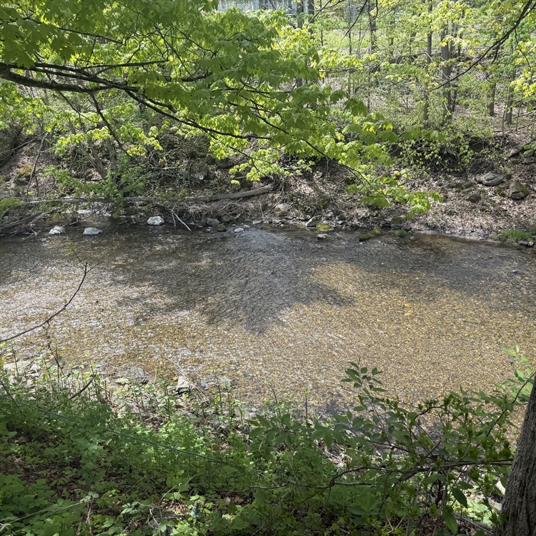 87 Ashfield Road Conway, MA 01341 - Photo 7 of 38 a view of a forest with large trees