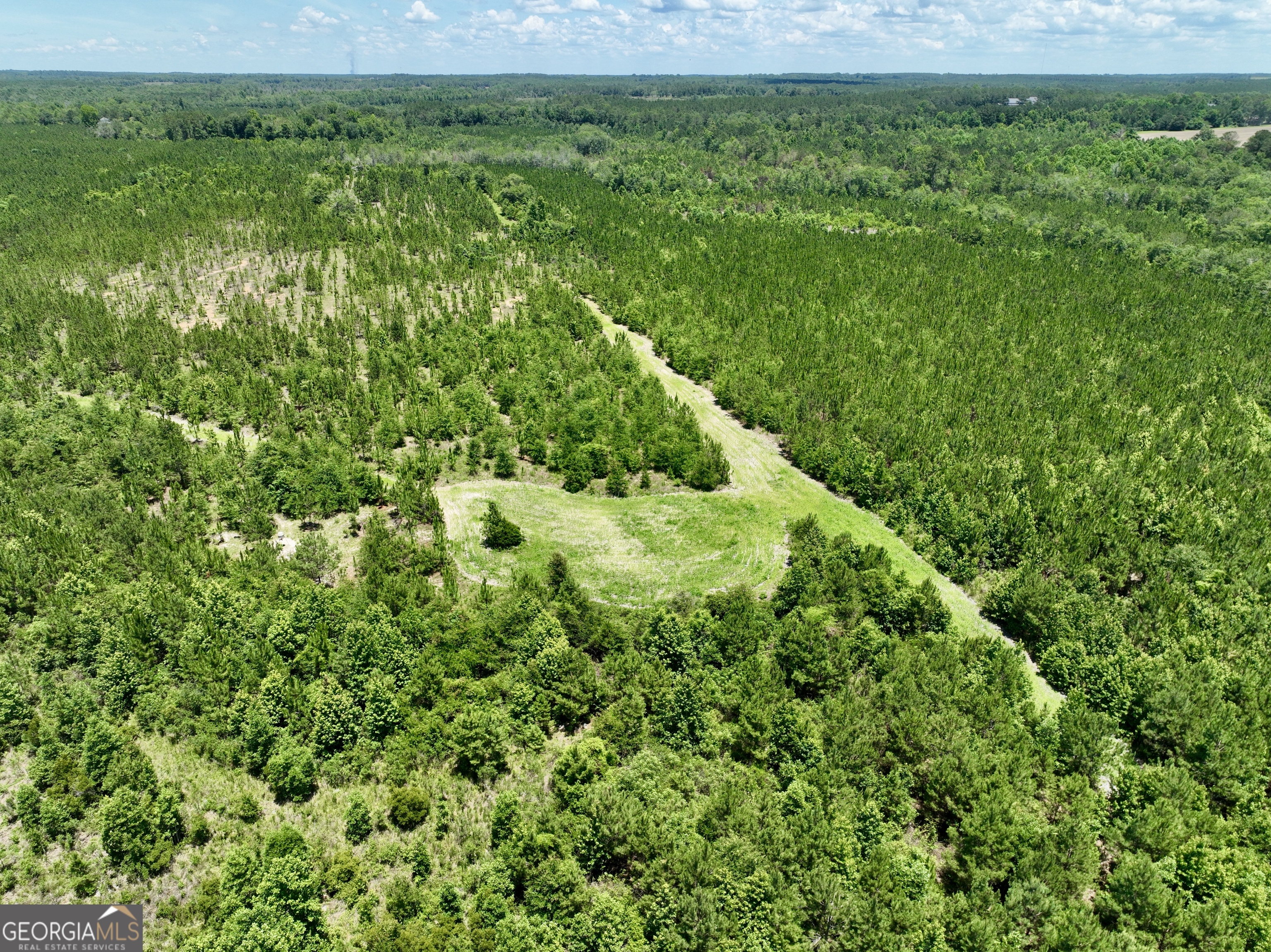 0 West River Road Rhine, GA 31077 - Photo 17 of 31