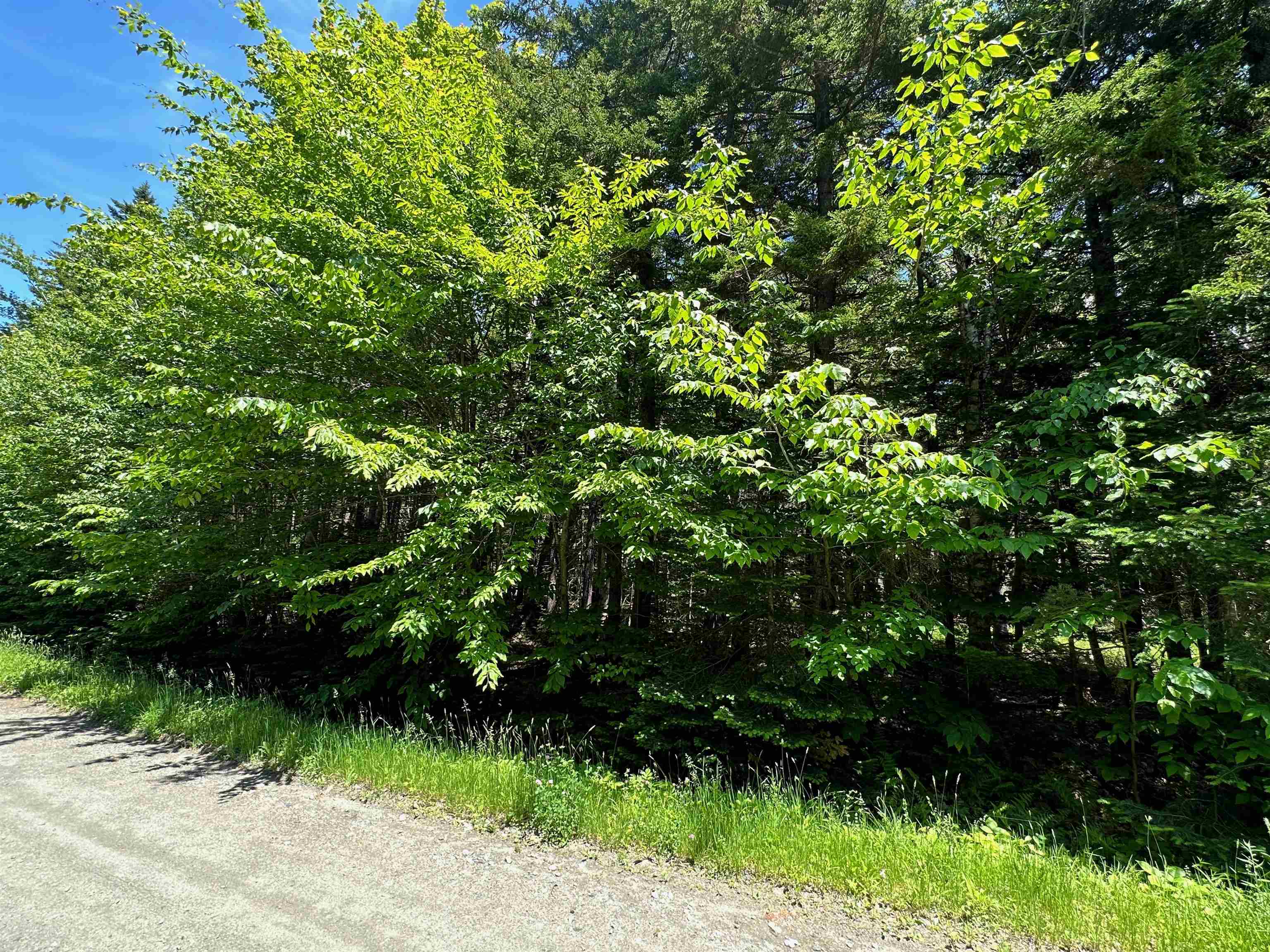 57 Antler Loop West Dover, VT 05356 - Photo 11 of 12