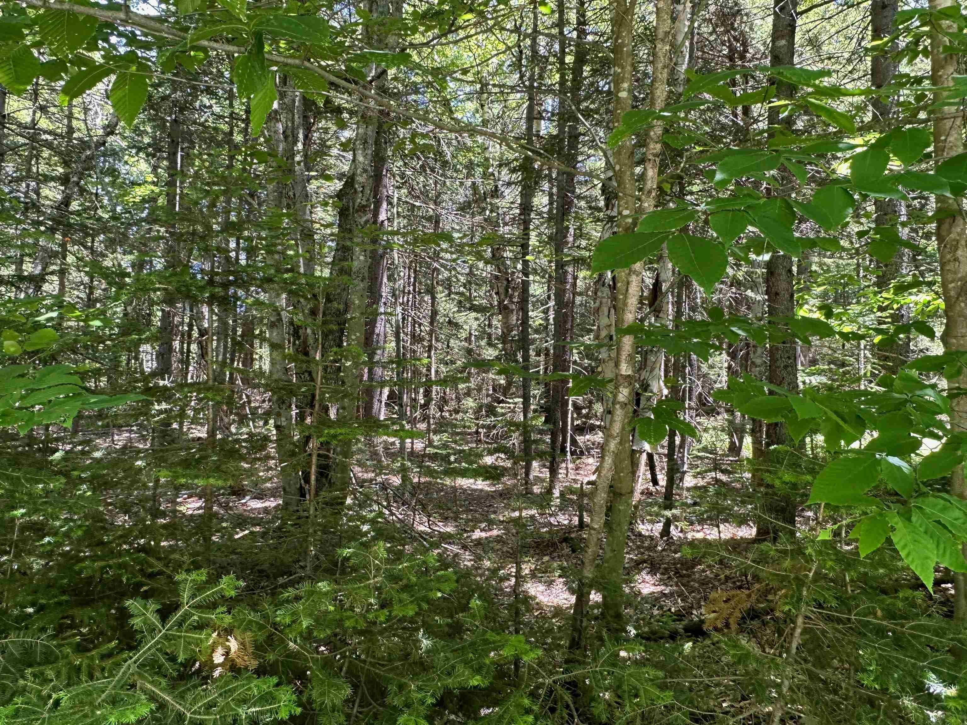 57 Antler Loop West Dover, VT 05356 - Photo 12 of 12