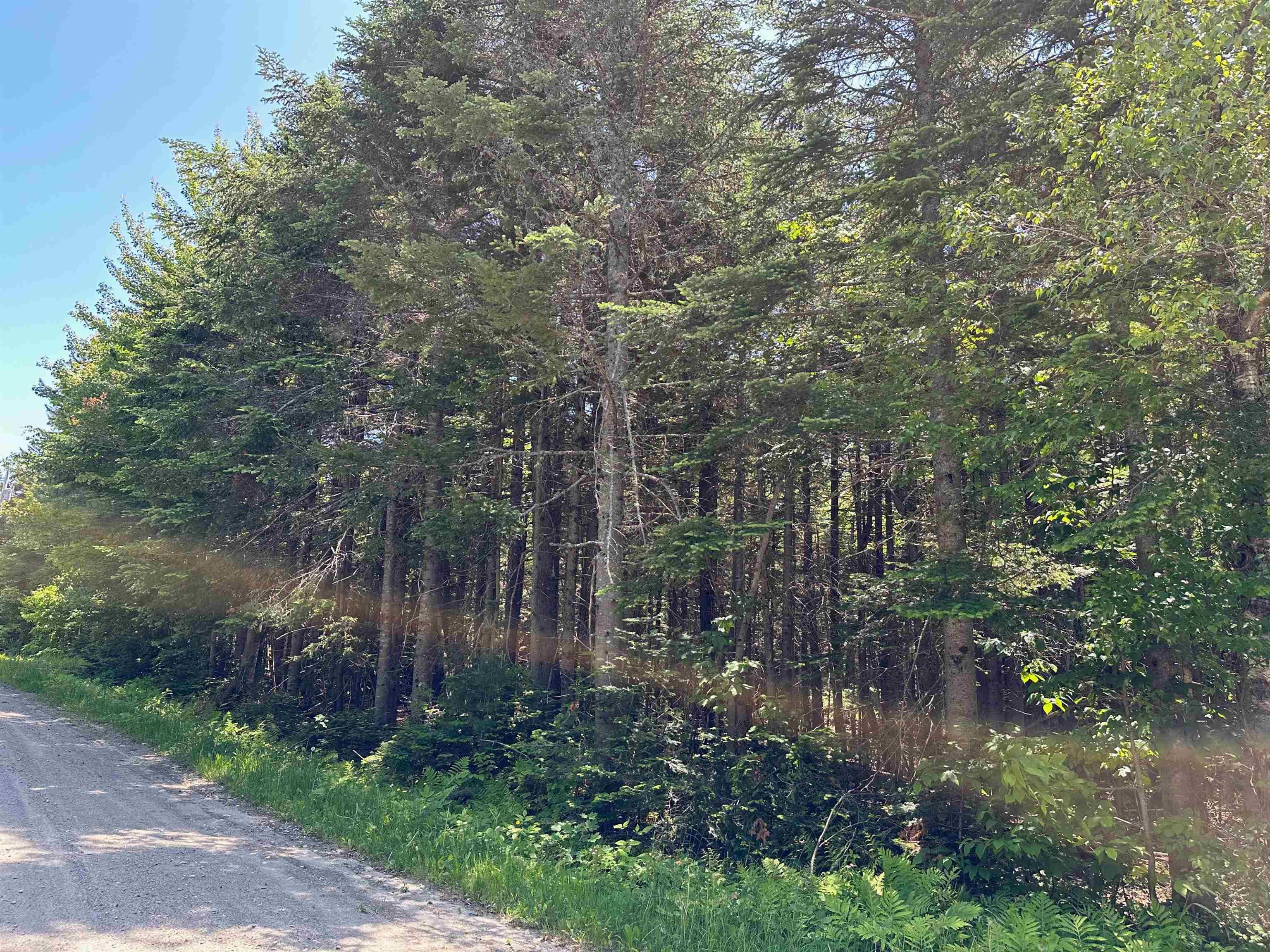 57 Antler Loop West Dover, VT 05356 - Photo 2 of 12