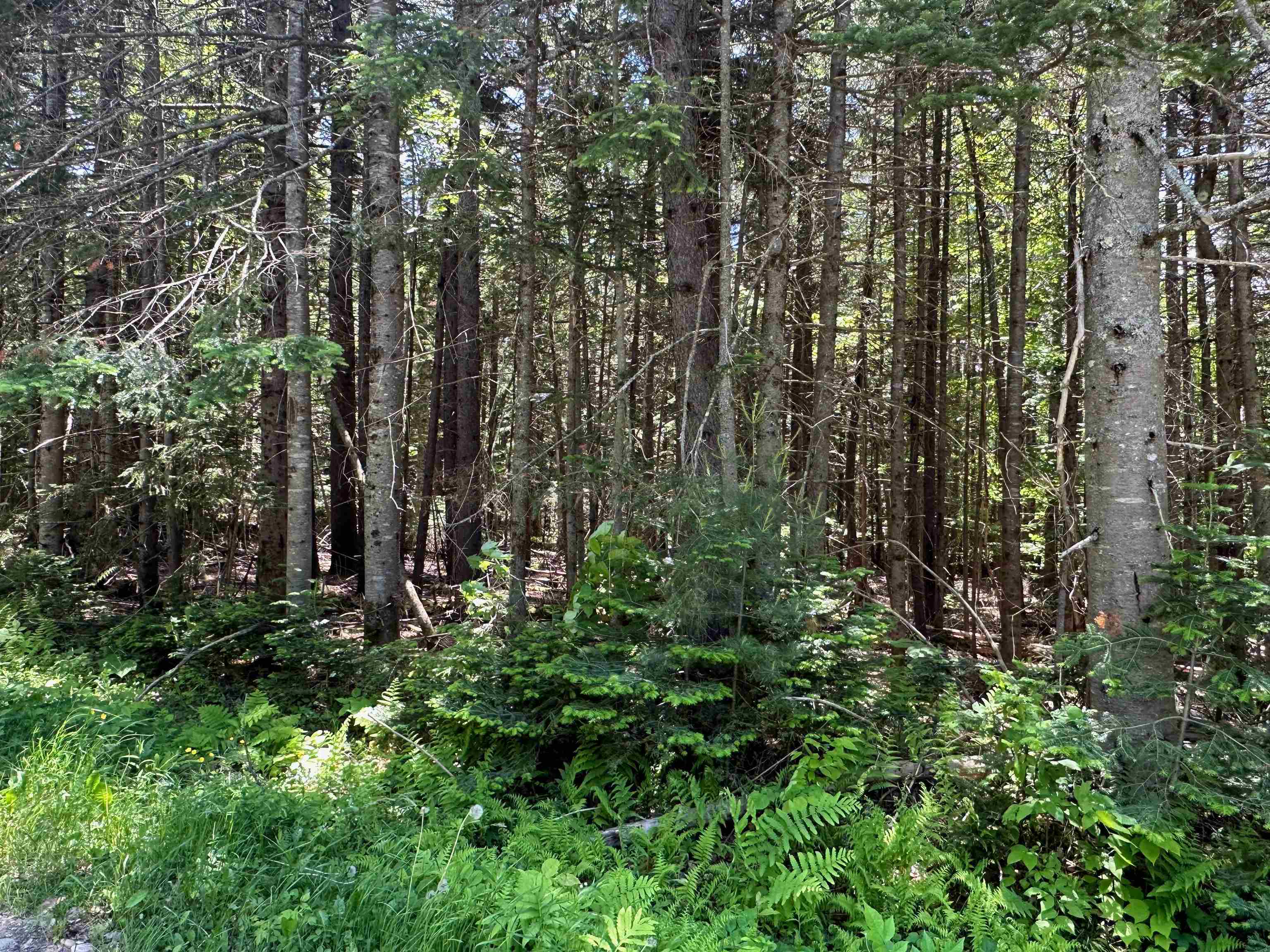 57 Antler Loop West Dover, VT 05356 - Photo 3 of 12