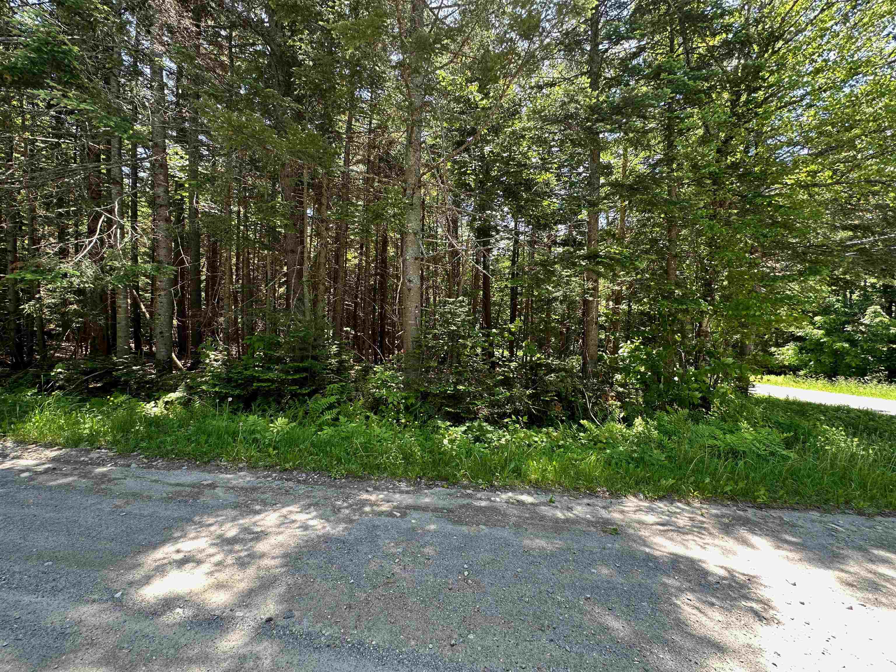 57 Antler Loop West Dover, VT 05356 - Photo 4 of 12