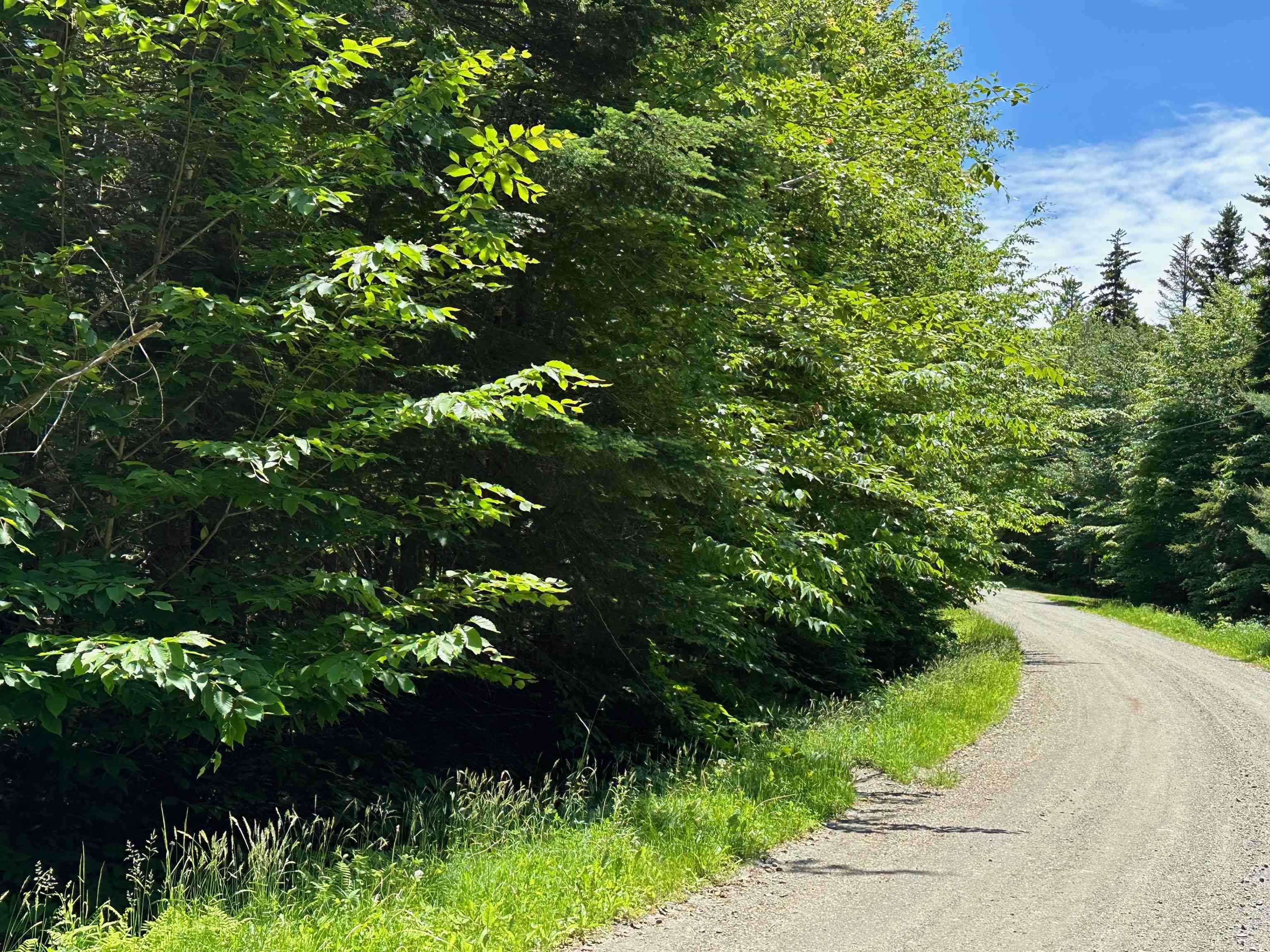 57 Antler Loop West Dover, VT 05356 - Photo 6 of 12