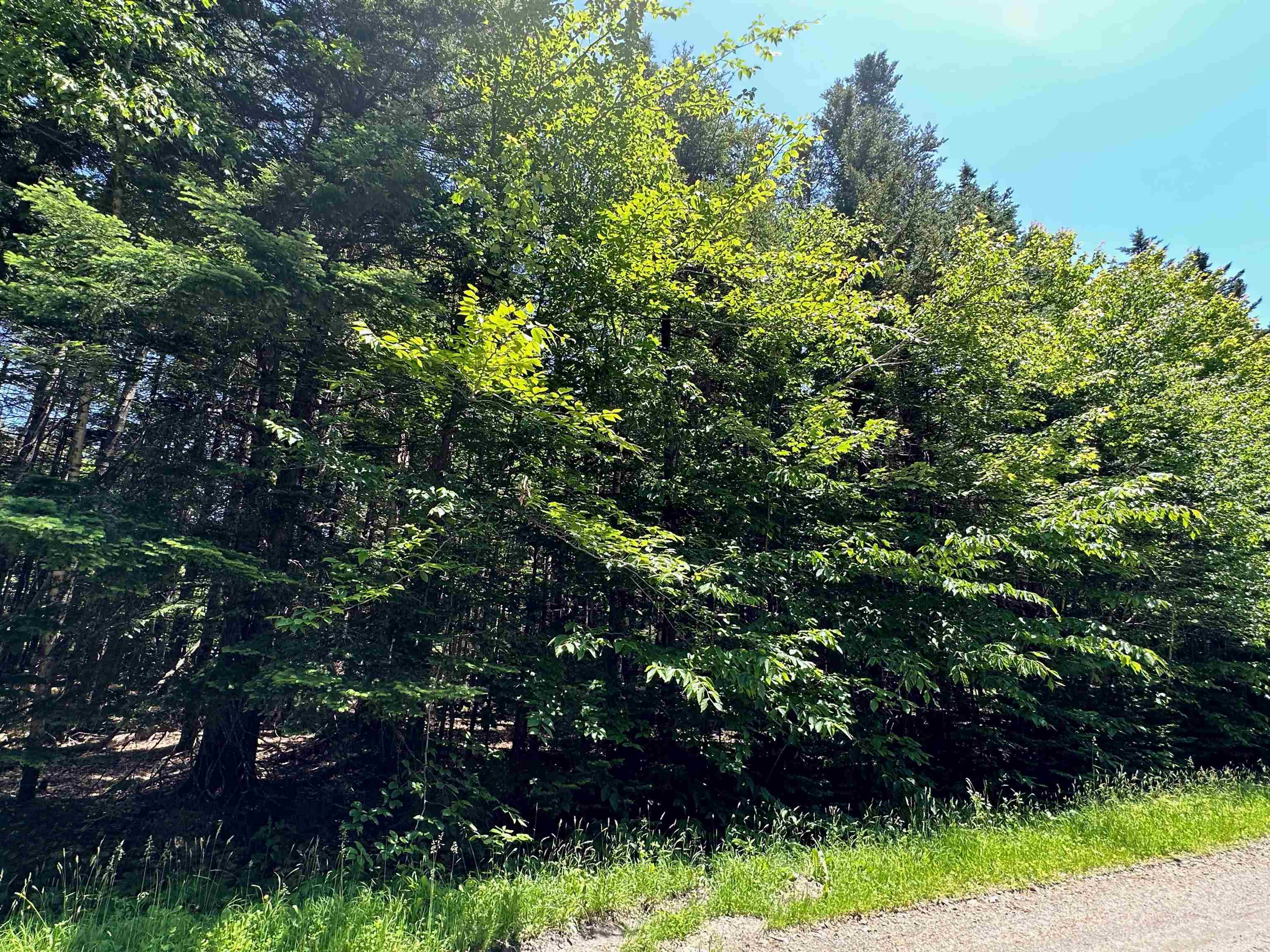 57 Antler Loop West Dover, VT 05356 - Photo 7 of 12