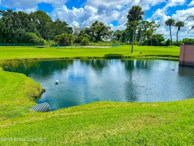 a view of a lake with a yard