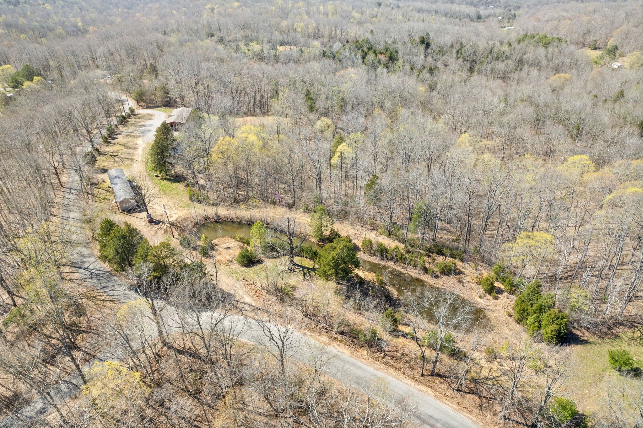 266 Commissary Ridge Road Indian Mound, TN 37079 - Photo 3 of 51 Gallery Image 3