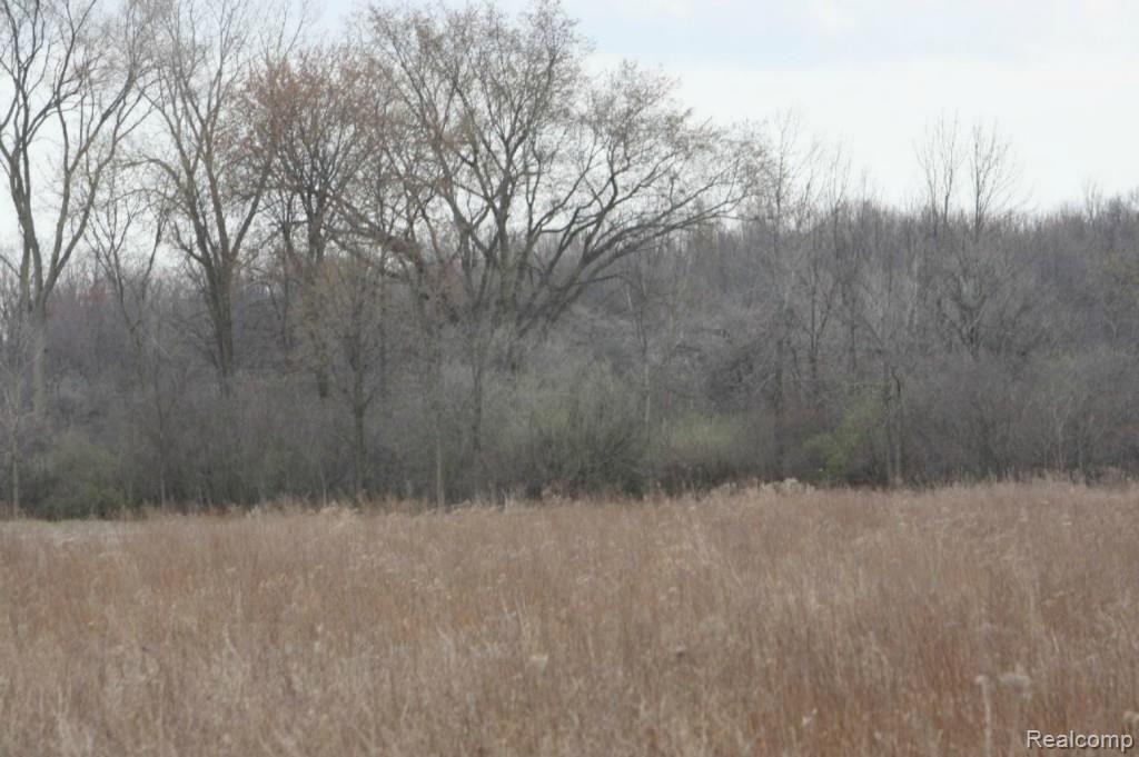 11725 Rynn Road Emmett, MI 48022 - Photo 32 of 33 rear line extends to trees