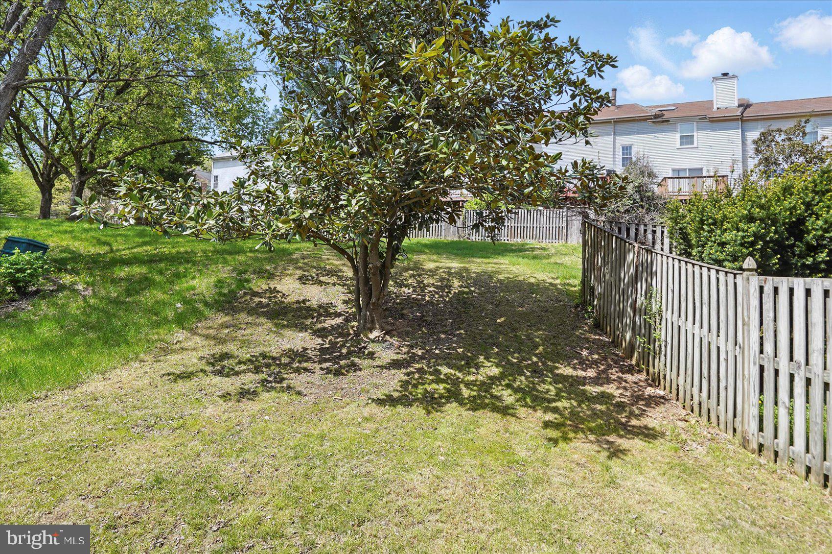 7020 Storch Lane Lanham, MD 20706 - Photo 40 of 44 a view of a yard with plants and large trees