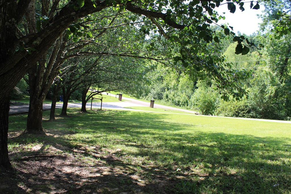 1130 Mt Zion Road Wesson, MS 39191 - Photo 5 of 48 Photo 5