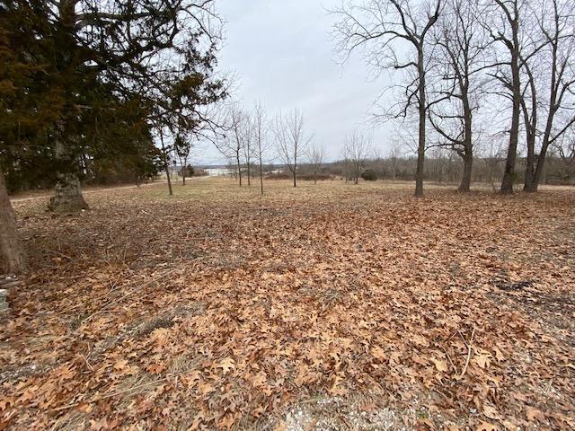2760 Stonecrest Lane Springfield, MO 65802 - Photo 1 of 1 View1