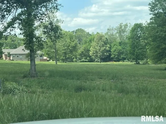 a view of grassy field with trees