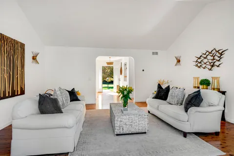a living room with furniture and a potted plant