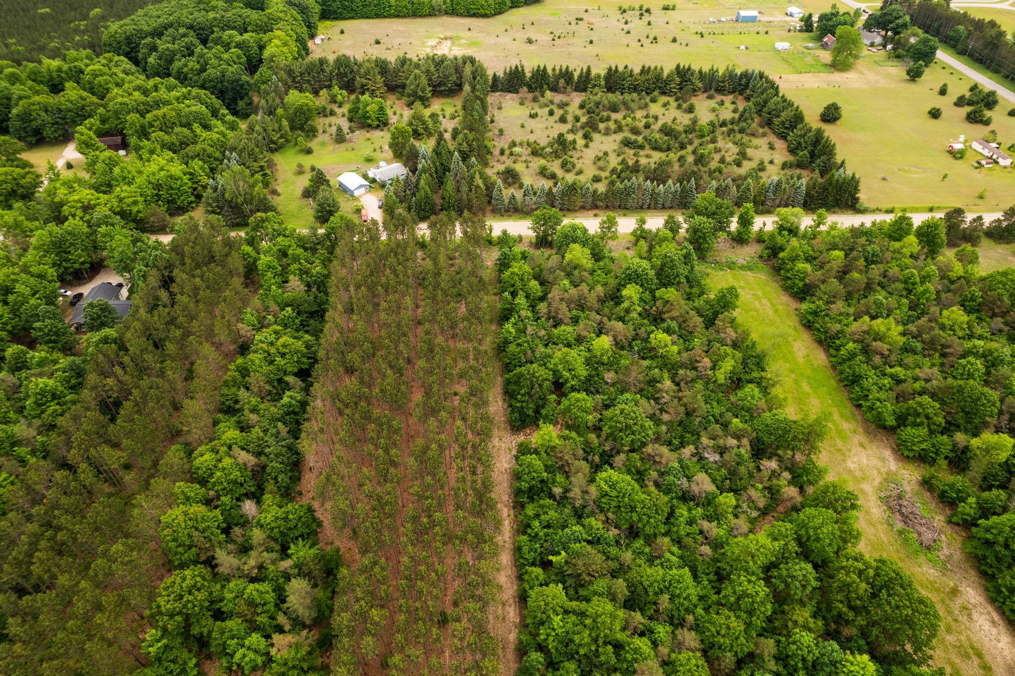 Parcel E St Johns Road Interlochen, MI 49643 - Photo 27 of 39