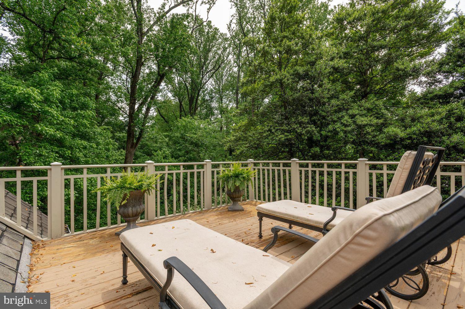 4968 Quebec Street Northwest Washington, DC 20016 - Photo 20 of 39