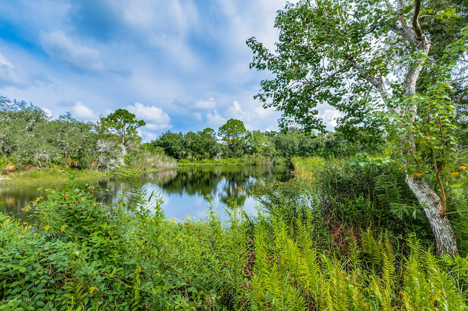 4300 Country Road Melbourne, FL 32934 - Photo 33 of 46 Large Pond Out Back