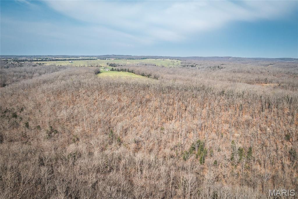 12980 Canyon Road Dixon, MO 65459 - Photo 22 of 99