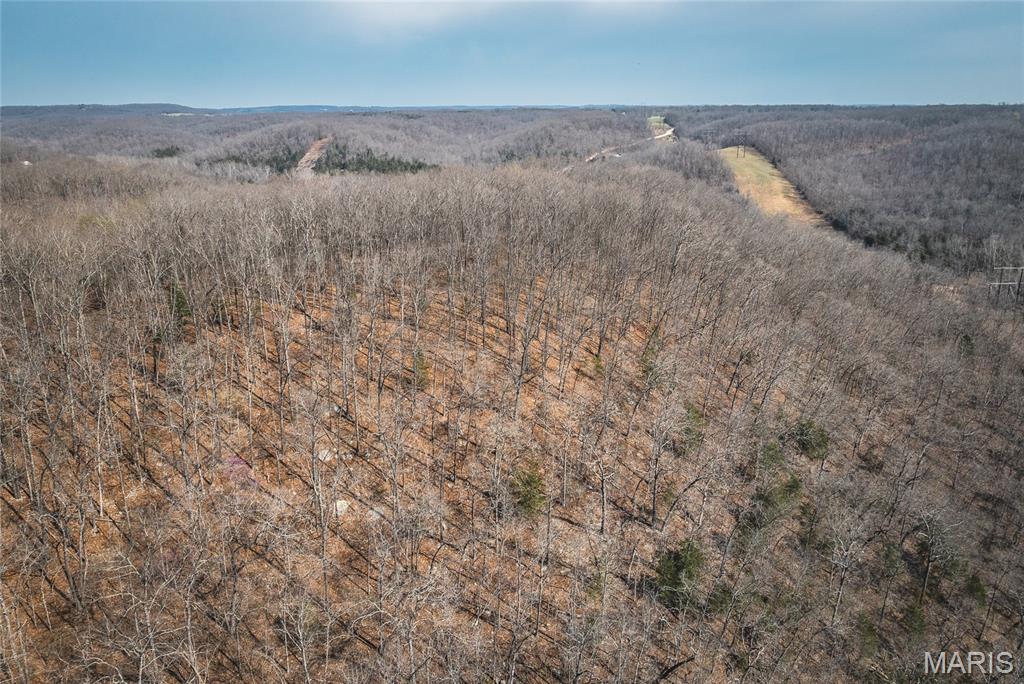 12980 Canyon Road Dixon, MO 65459 - Photo 23 of 99