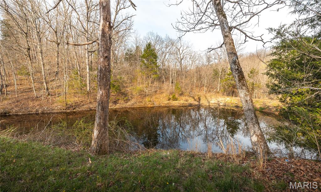 12980 Canyon Road Dixon, MO 65459 - Photo 28 of 99