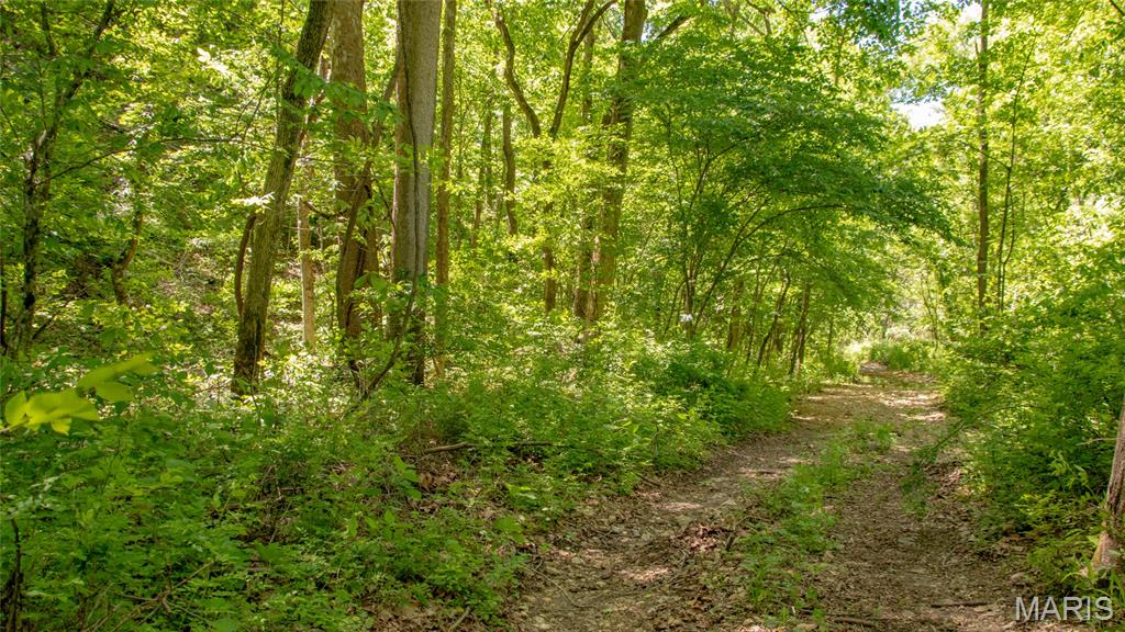 12980 Canyon Road Dixon, MO 65459 - Photo 30 of 93