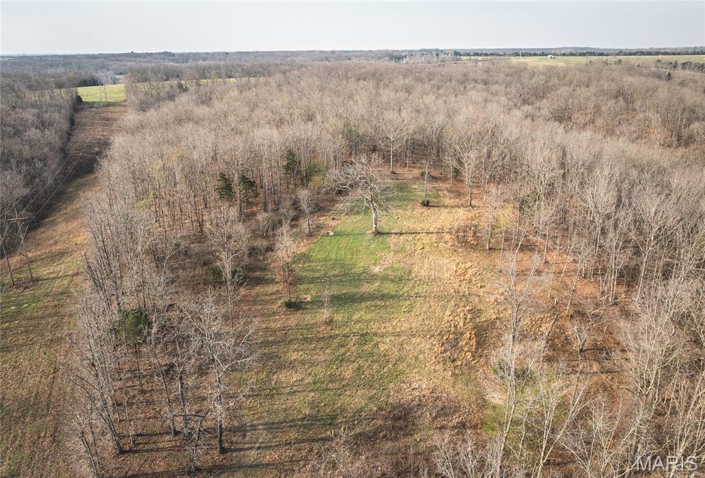 12980 Canyon Road Dixon, MO 65459 - Photo 3 of 99