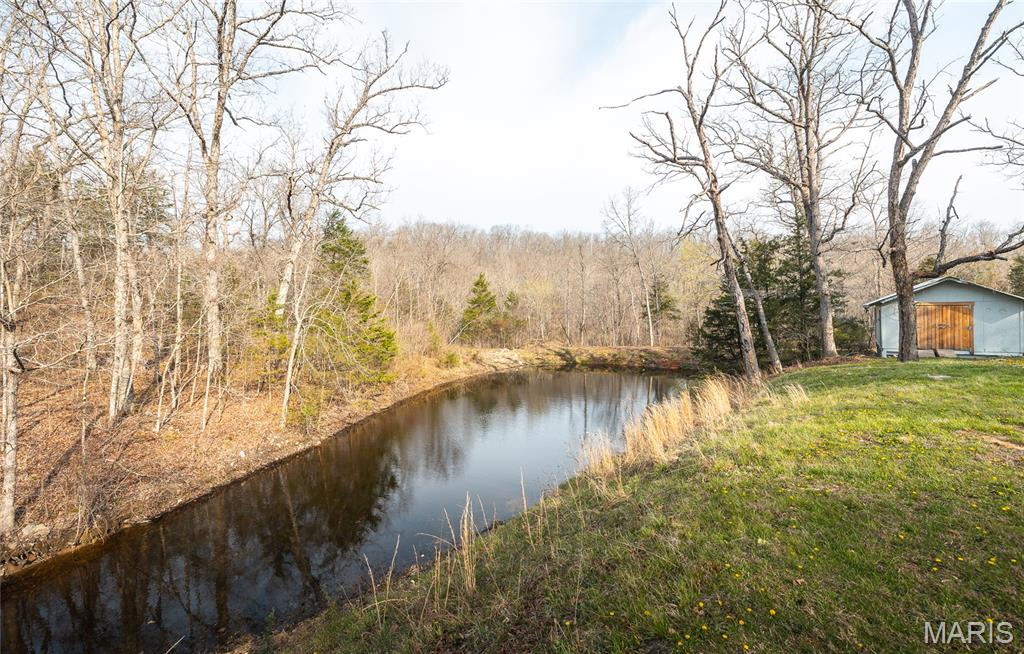 12980 Canyon Road Dixon, MO 65459 - Photo 40 of 99