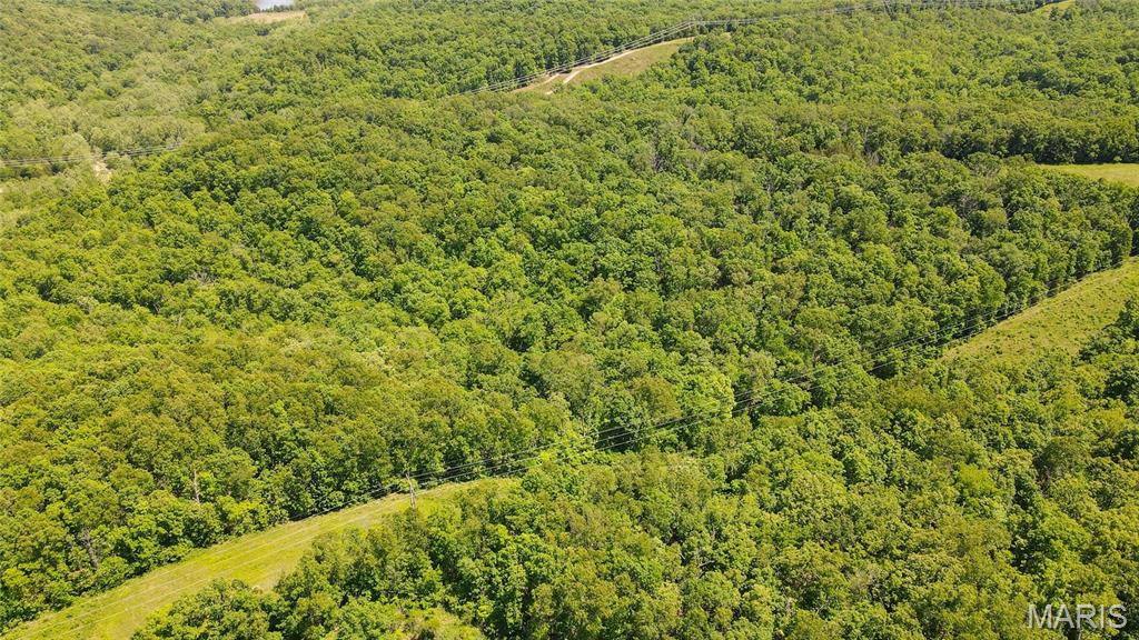 12980 Canyon Road Dixon, MO 65459 - Photo 4 of 93