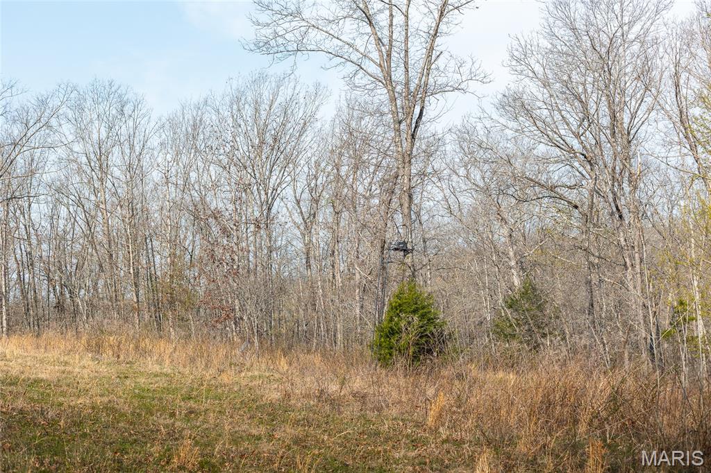 12980 Canyon Road Dixon, MO 65459 - Photo 44 of 99