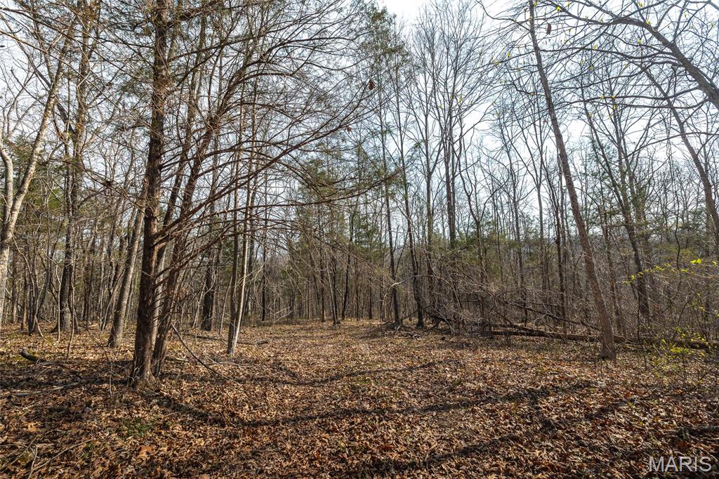 12980 Canyon Road Dixon, MO 65459 - Photo 45 of 99