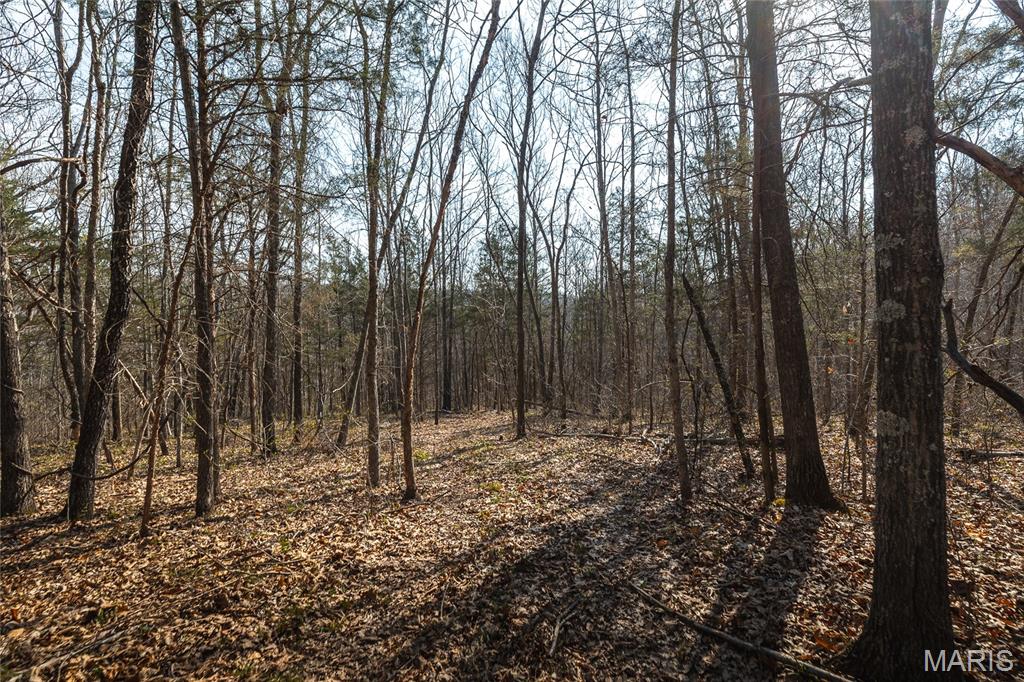12980 Canyon Road Dixon, MO 65459 - Photo 46 of 99