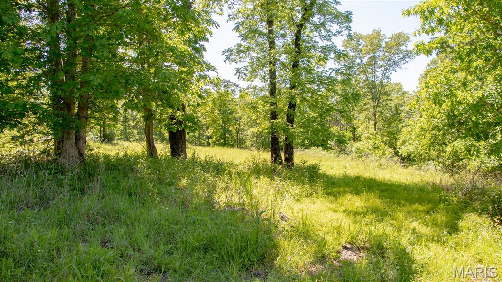 12980 Canyon Road Dixon, MO 65459 - Photo 47 of 93