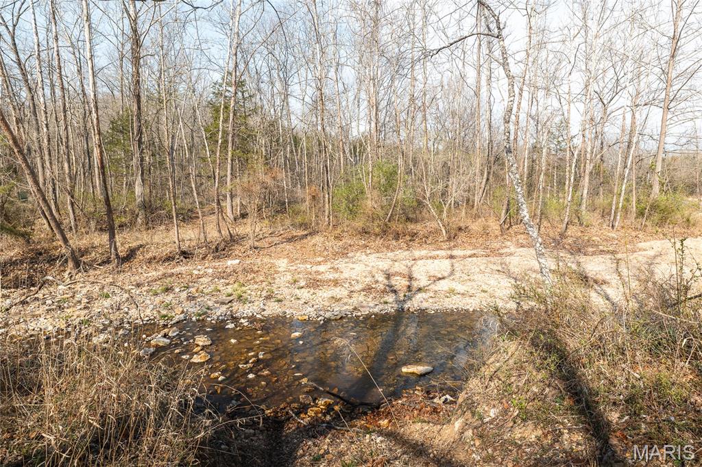 12980 Canyon Road Dixon, MO 65459 - Photo 50 of 99