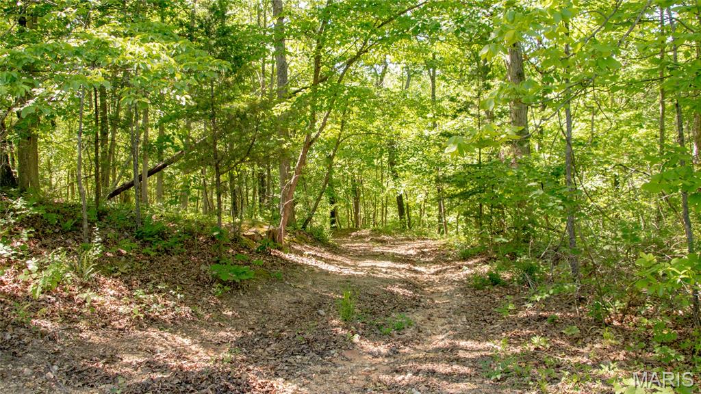12980 Canyon Road Dixon, MO 65459 - Photo 53 of 93