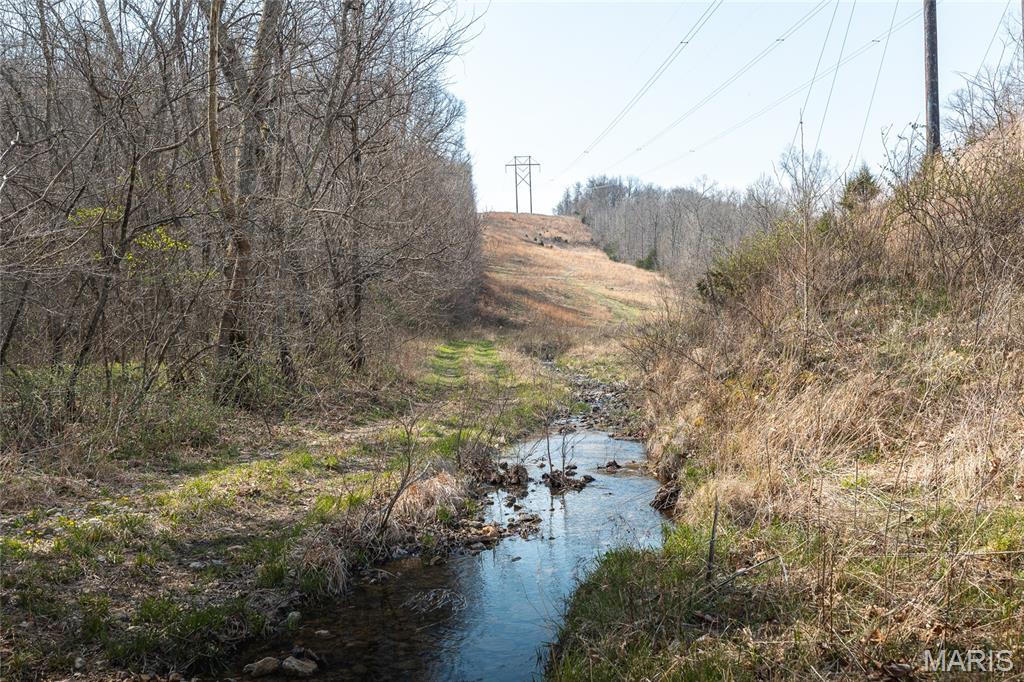 12980 Canyon Road Dixon, MO 65459 - Photo 53 of 99