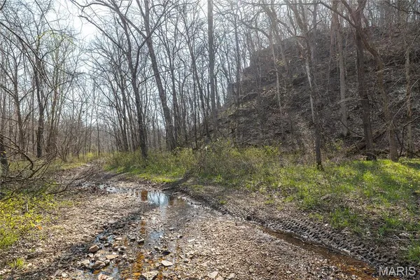 $839,400 | 12980 Canyon Road, Dixon, MO 65459