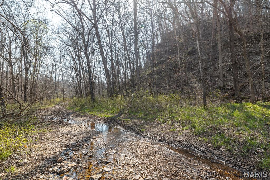12980 Canyon Road Dixon, MO 65459 - Photo 54 of 99