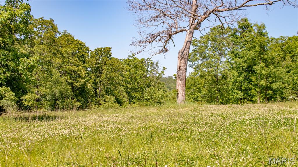 12980 Canyon Road Dixon, MO 65459 - Photo 54 of 93
