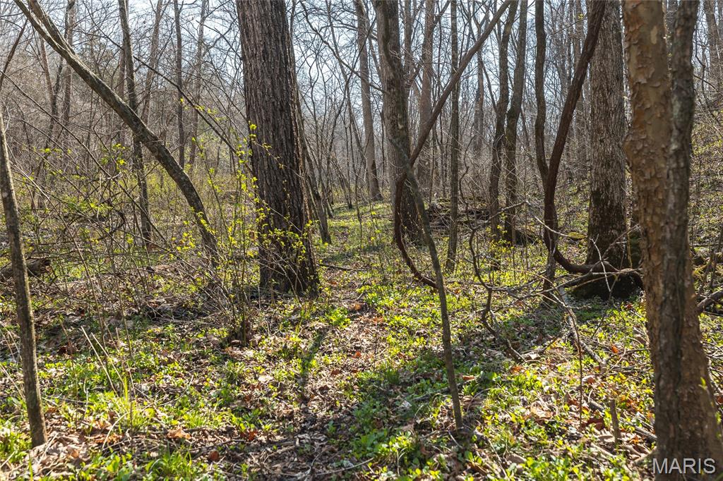 12980 Canyon Road Dixon, MO 65459 - Photo 56 of 99
