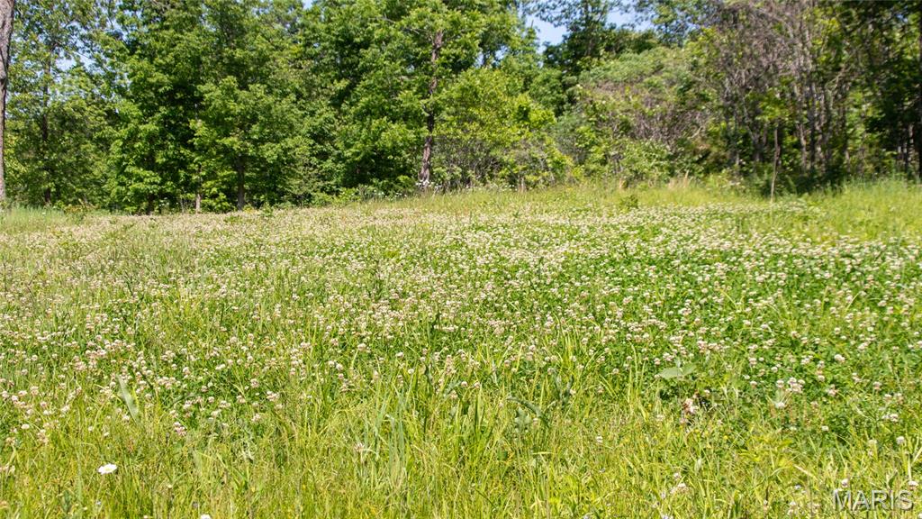 12980 Canyon Road Dixon, MO 65459 - Photo 56 of 93