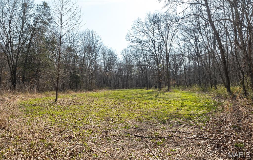 12980 Canyon Road Dixon, MO 65459 - Photo 58 of 99