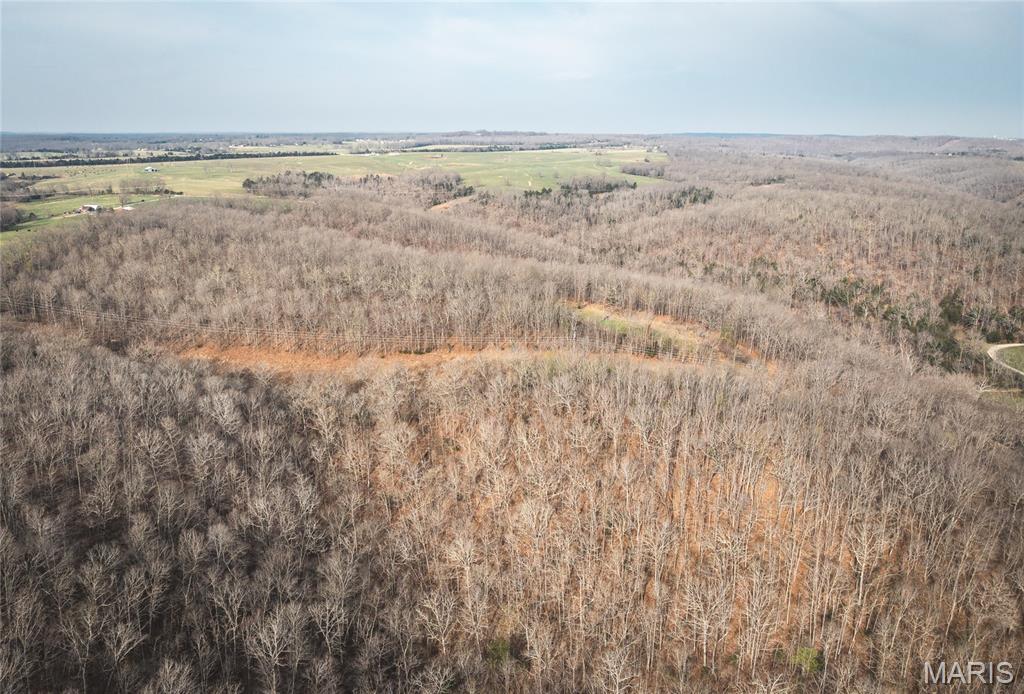 12980 Canyon Road Dixon, MO 65459 - Photo 6 of 99