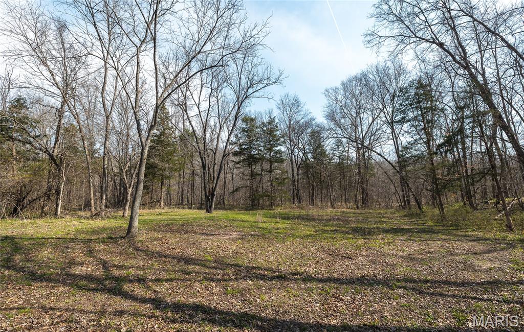 12980 Canyon Road Dixon, MO 65459 - Photo 61 of 99