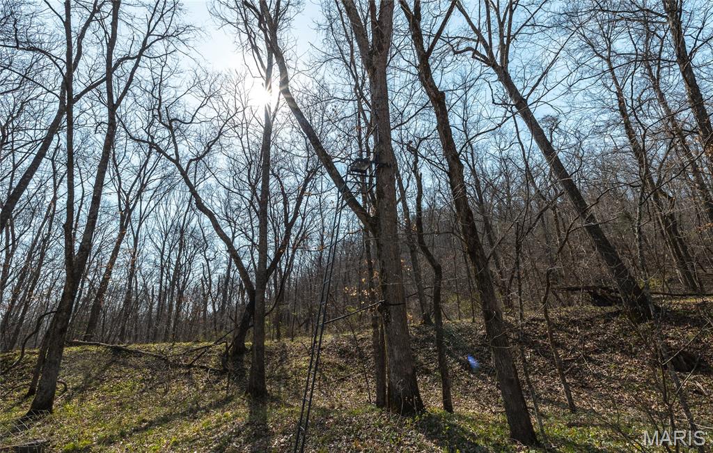 12980 Canyon Road Dixon, MO 65459 - Photo 62 of 99