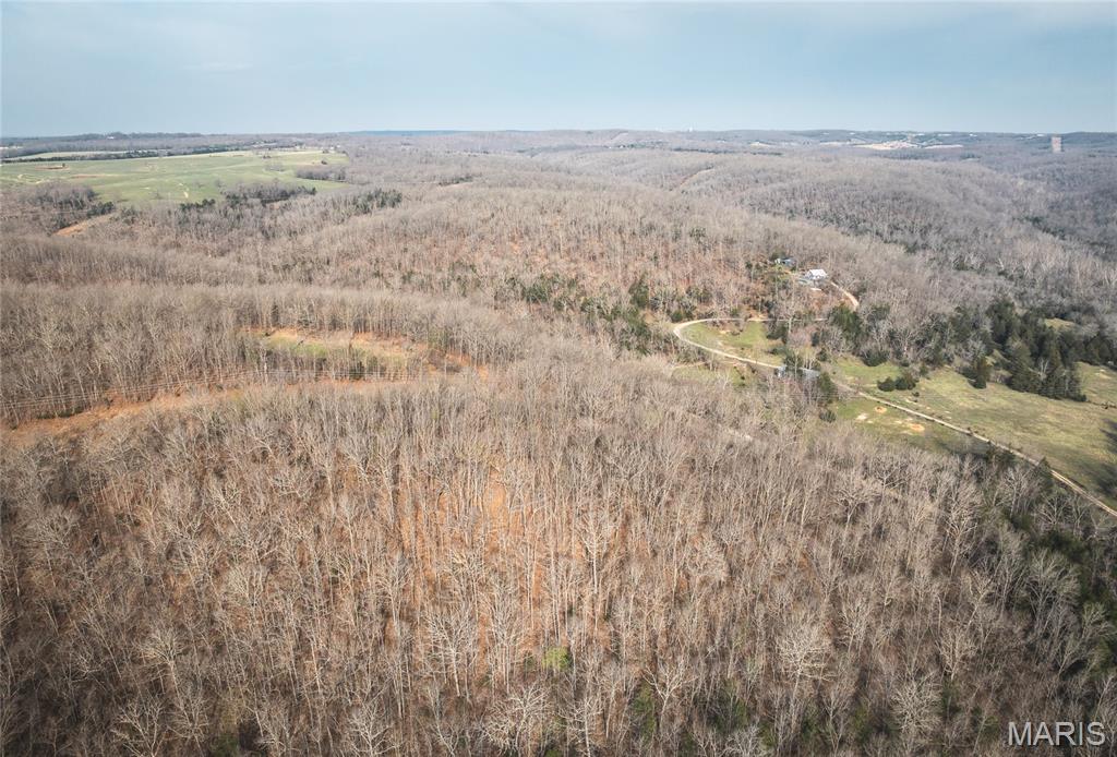 12980 Canyon Road Dixon, MO 65459 - Photo 7 of 99