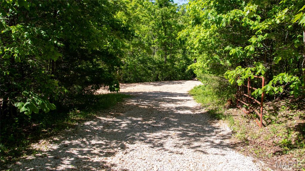 12980 Canyon Road Dixon, MO 65459 - Photo 74 of 93