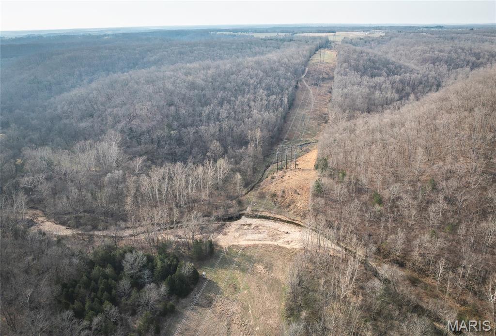 12980 Canyon Road Dixon, MO 65459 - Photo 9 of 99